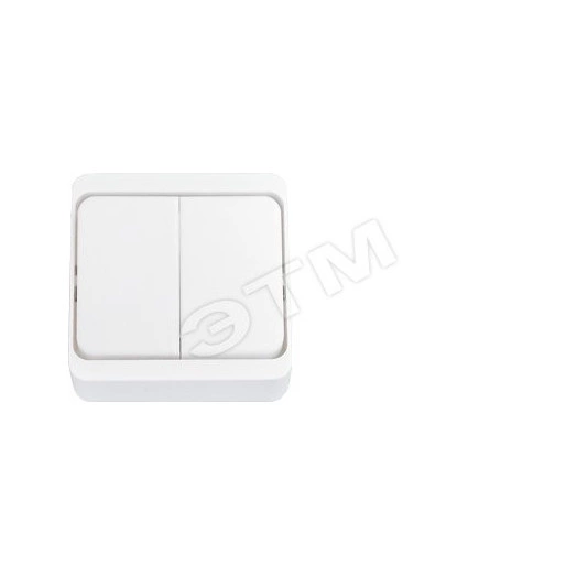 Выключатель двухклавишный наружный