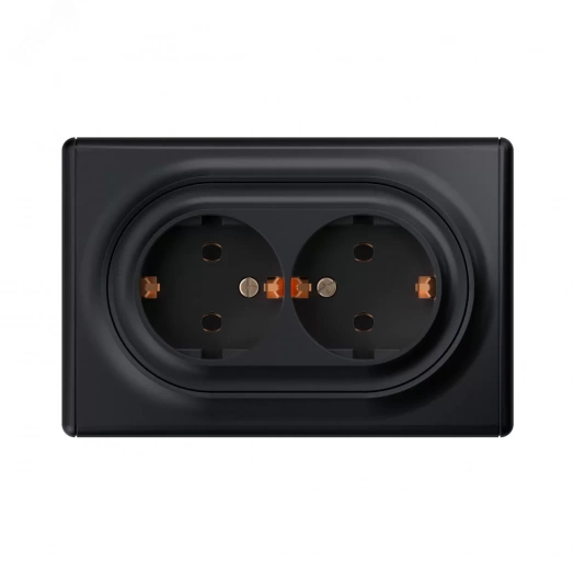 Розетка двойная, в сборе, с заземлением винтовые контакты, цвет чёрный (серия Florence)