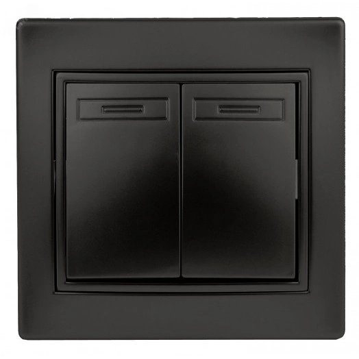 Выключатель Intro Plano 1-104-05 двухклавишный, 10А-250В, IP20, СУ, антрацит