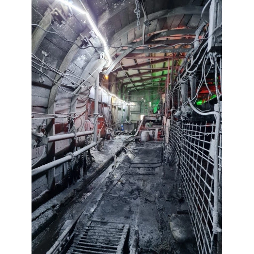 Светодиодная лента RSD РВ Ex, 15Вт/м, 127В, 20м, зеленая, кабель питания и соединения с каждой стороны до 300cм