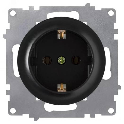 Розетка с заземлением, защитные шторки, винтовые контакты, цвет чёрный (серия Florence)