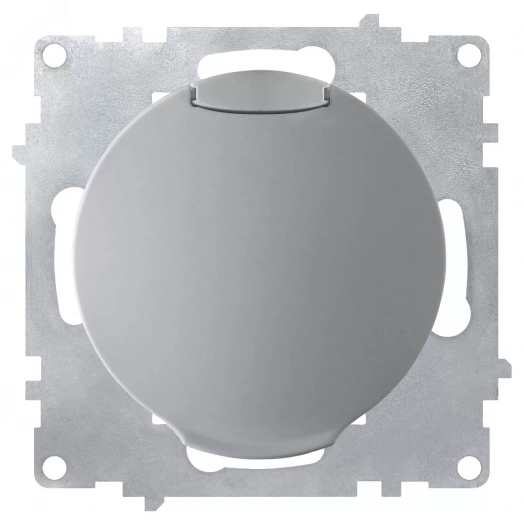 Розетка с крышкой, с заземлением, винтовые контакты, цвет серый (серия Florence)