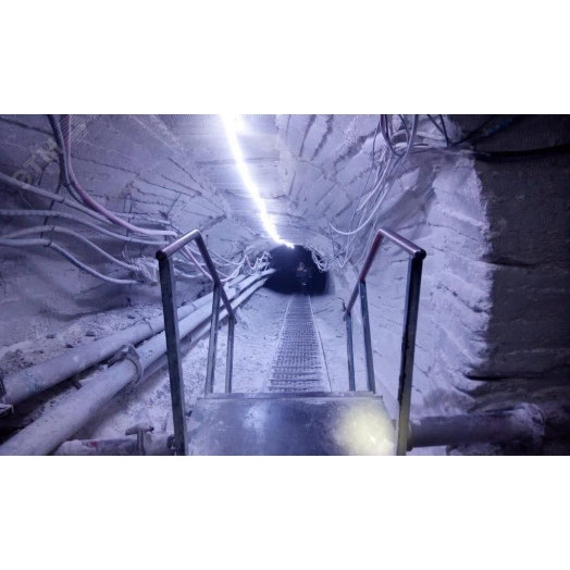 Светодиодная лента RSD РВ Ex, 15Вт/м, 127В, 20м, зеленая