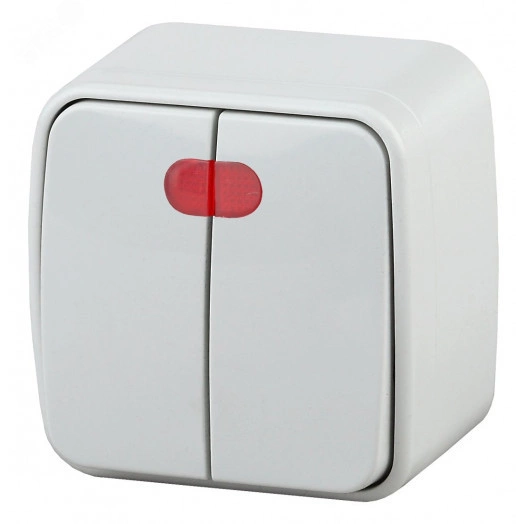 Выключатель Intro Polo 3-105-01 двухклавишный с подсветкой, 10A-250В, IP20, ОУ, белый