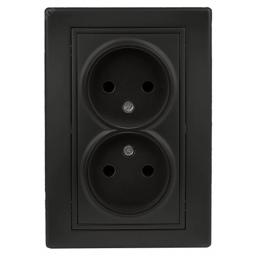 Розетка Intro Plano 1-204-05 без заземления двойная 2х2P, 16А-250В, IP20, СУ, антрацит