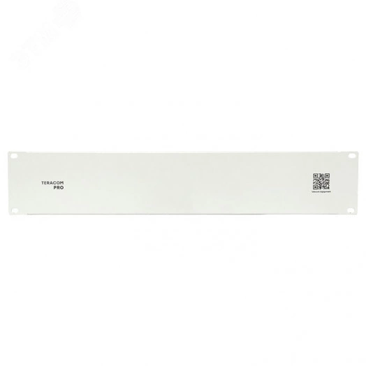 Фальшпанель TERACOM PRO 2U серая