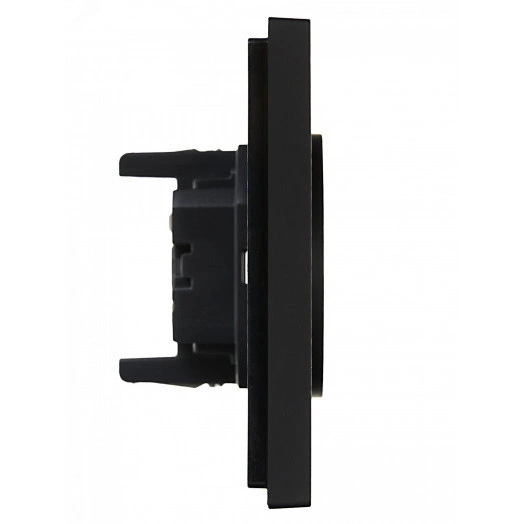 FORTE&PIANO Розетка 2-местная без заземления с защитными шторками безвинтовое крепление 10А FP125 черный IEK