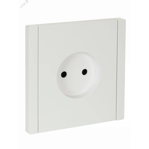 FORTE&PIANO Розетка 1-местная без заземления без защитных шторок винтовое крепление 10А FP218 белый IEK