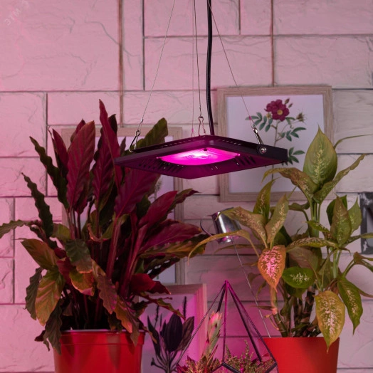 Кронштейн для ламп и светильников FITO-сabel-rope металлический подвес