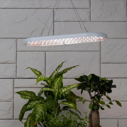 Кронштейн для ламп и светильников FITO-сabel-rope металлический подвес