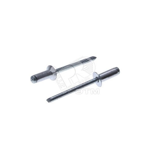 Заклепка вытяжная 4.8х8 (100шт)