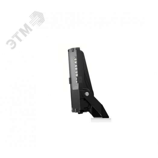 Светильник ДО-08-100-201 FLG 750