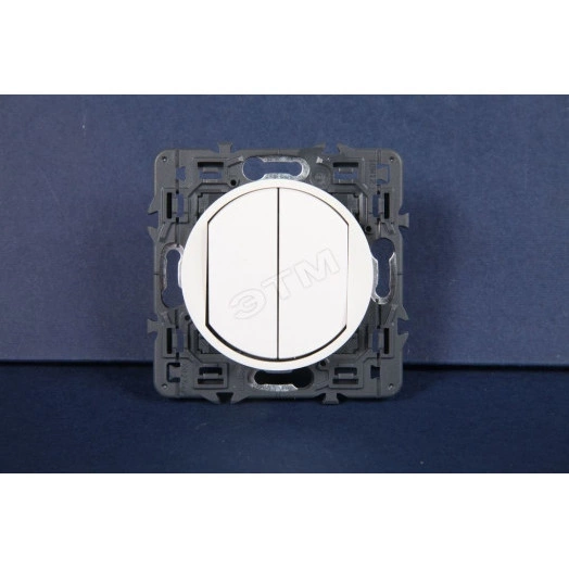 Celiane Переключатель двухклавишный на 2 направления белый