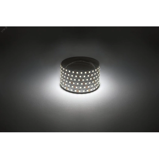 Светодиодная лента LS2835 9,6-120-12-4000K-IP20-1 year белая 5м