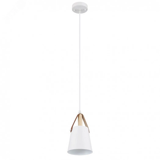 Светильник Подвесной Arte Lamp THOMAS A7032SP-1WH 1*E27 Металл Белый