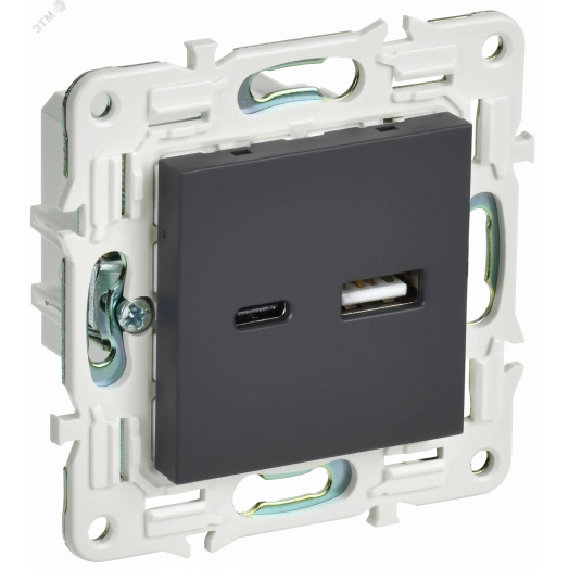 SKANDY Розетка USB A+C 3,1А SK-R14G графит IEK