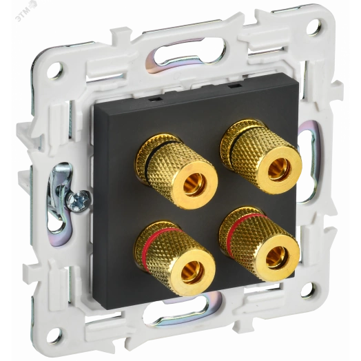 SKANDY Аудиорозетка 4-местная SK-A01G графит IEK