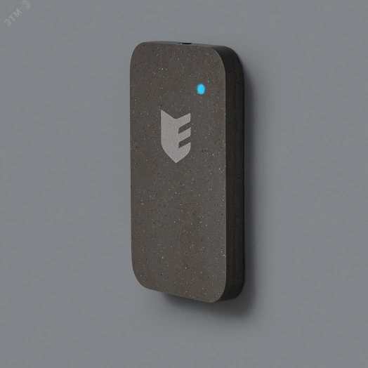 Считыватель ESMART Reader BLE серии STONE (Carbon Concrete) (ER1701)