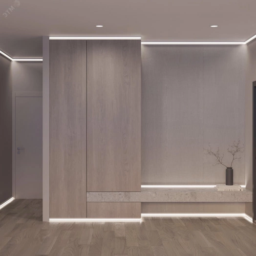 Профиль PLINTUS-H55-2000 ANOD (Arlight, Алюминий)