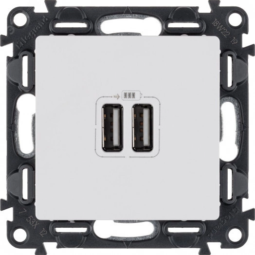 Valena LIFE Зарядное устройство с двумя USB-разьемами 240В/5В 1500мА С лицевой панелью Белое