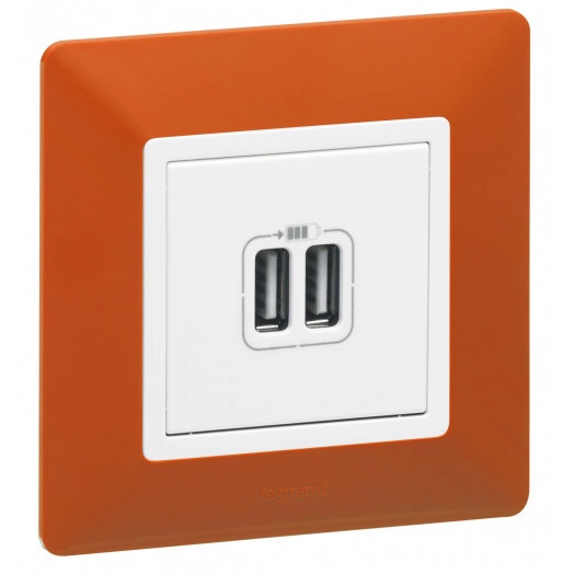 Valena LIFE Зарядное устройство с двумя USB-разьемами 240В/5В 1500мА С лицевой панелью Белое