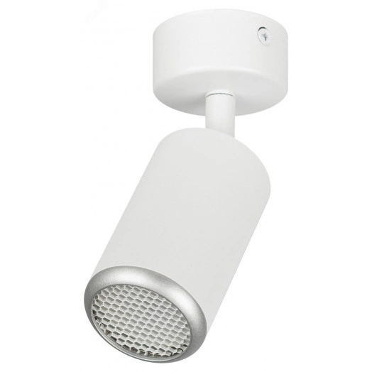 Светильник настенно-потолочный спот IP20 белый/серебро OL55 WH/SL MR16 GU10 ЭРА