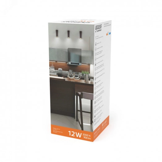 Светильник светодиодный накладной ДПО-12Вт 3000K 79x200мм (черный золото)