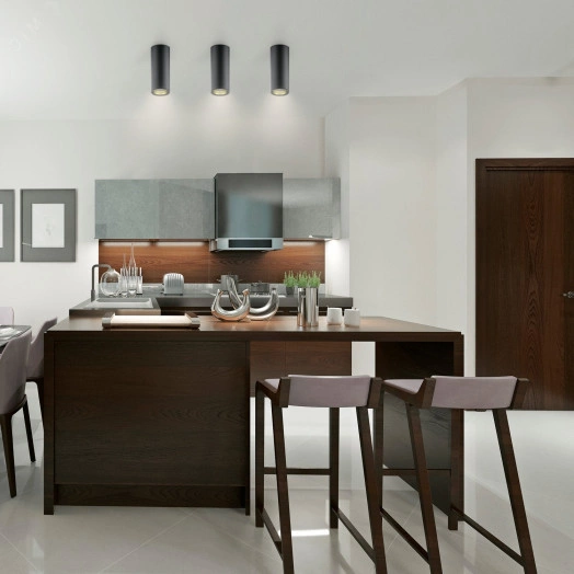 Светильник светодиодный накладной ДПО-12Вт 3000K 79x200мм (черный золото)