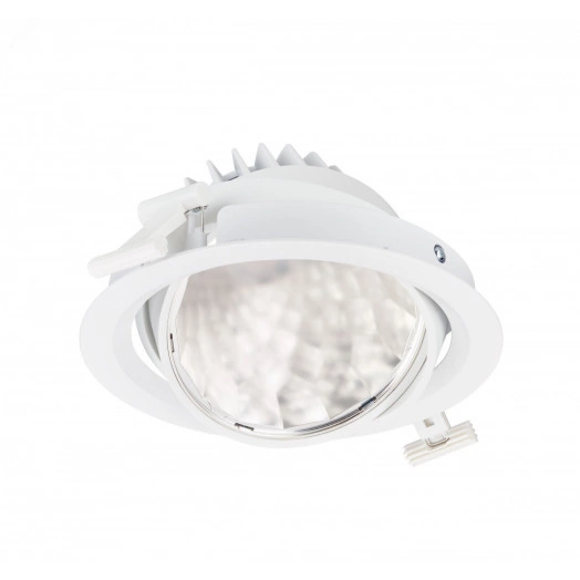 Светильник светодиодный ДВО 29 Вт 3900 лм 4000К 220-230В d190х102мм монт. d170мм IP20 поворотный широкий пучек GreenSpace Accent cardanic