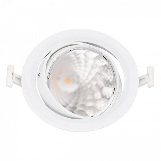 Светильник светодиодный ДВО 29 Вт 3900 лм 4000К 220-230В d190х102мм монт. d170мм IP20 поворотный широкий пучек GreenSpace Accent cardanic