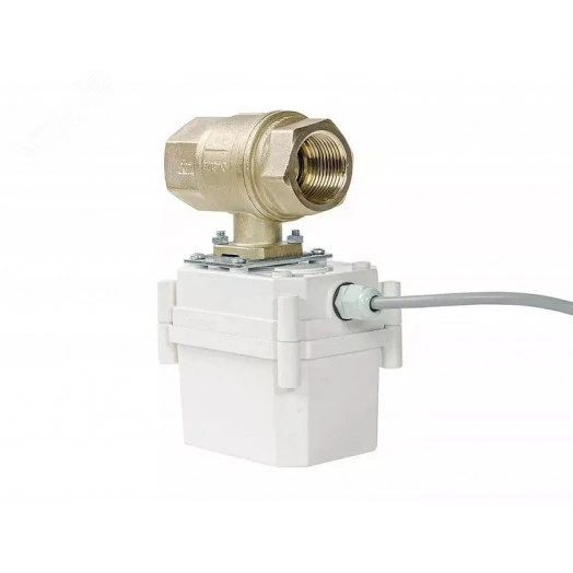 Система контроля протечки воды PREMIUM RADIO BONOMI 1/2