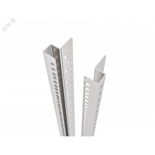 Комплект профилей 19-дюймовых С-образных RS52 42U (2шт.)