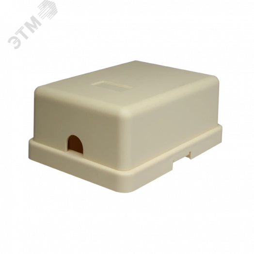 Розетка телефонная 6P4C (RJ-11). 2 порта