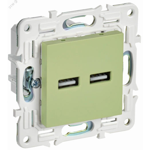 SKANDY Розетка USB A+A 3,1А SK-R15G мятный IEK