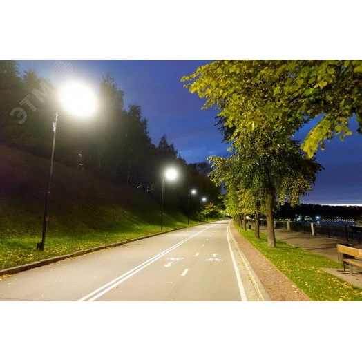 LIGHTING PRO Светильник светодиодный консольный ДКУ 1014-100Ш 5000К IP65 IEK