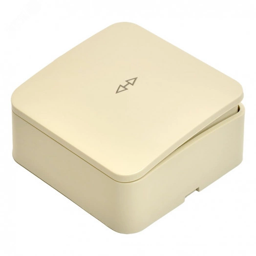 Переключатель 1-клавишный 250В 10А серия София слоновая ксоть STEKKER