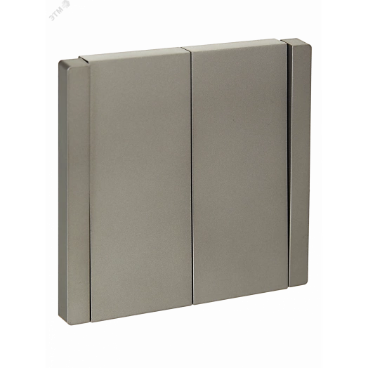 FORTE&PIANO Выключатель 2-клавишный 10А FP505 сталь IEK