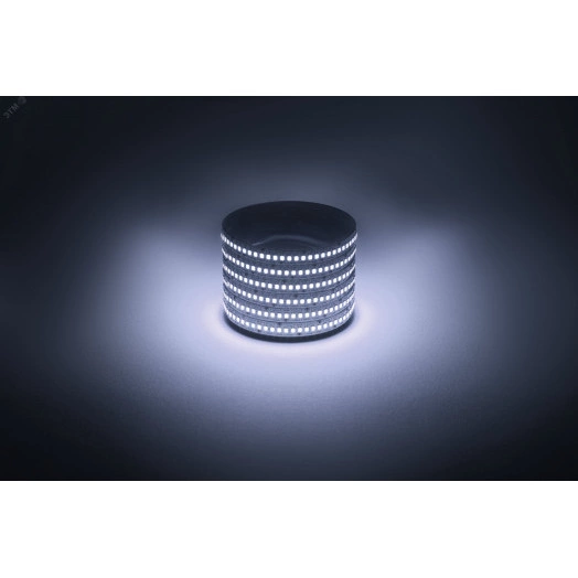 Светодиодная лента LS2835-19,2-240-12-6500K-IP20-1 year-5м холодный белый 5м