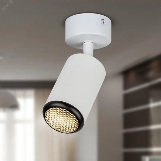 Светильник настенно-потолочный спот MR16 GU10 IP20 белый/черный OL55 WH/BK ЭРА