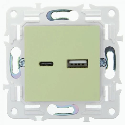 SKANDY Розетка USB A+C 18Вт SK-R13G мятный IEK