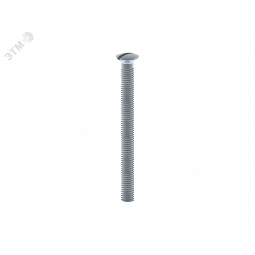 Винт для сифонов М6х70