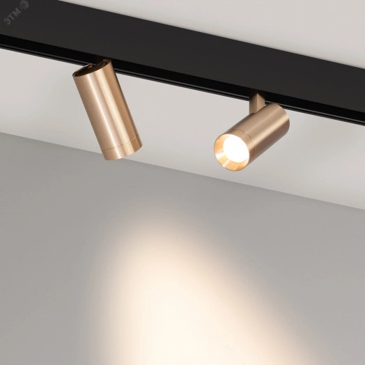 Светильник MAG-ORIENT-SPOT-R45-12W Warm3000 (GD, 24 deg, 48V) (IP20 металл, 5 лет)