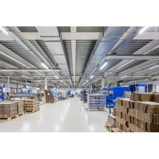 LIGHTING Светильник аварийный ДСП 1306А 36Вт 1ч 4000К IP65 1200мм серый пластик IEK