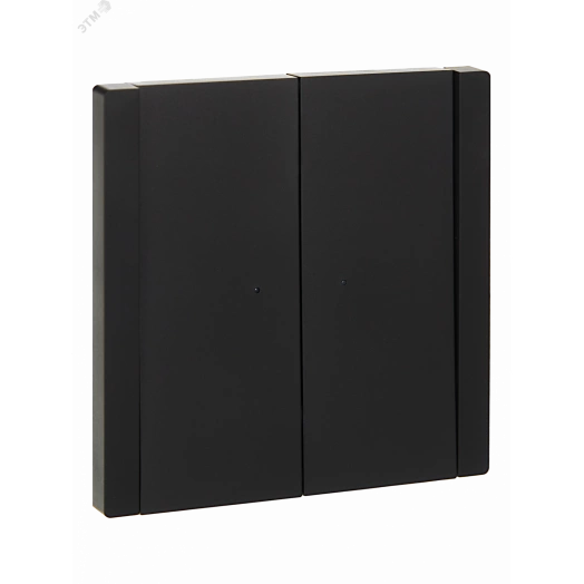 FORTE&PIANO Выключатель 2-клавишный с индикацией 10А FP106 черный IEK