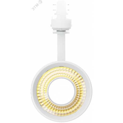 Светильник светодиодный ДСО-Т02-11-20-4K-IP20