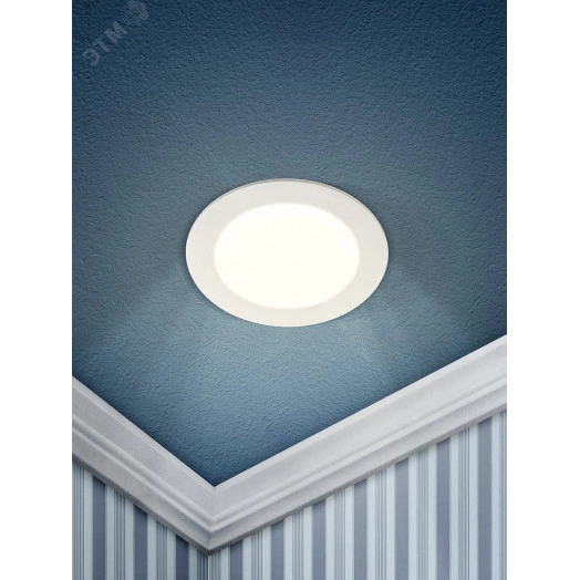 Светильник светодиодный ДВО-12W 4000К 540Лм d 165мм IP20 круглый