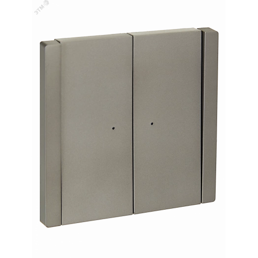 FORTE&PIANO Выключатель 2-клавишный проходной с индикацией 10А FP508 сталь IEK