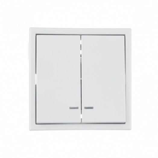 ARTGALLERY 2-клавишный выключатель с подсветкой, сх.5а, 10АХ, механизм, белый