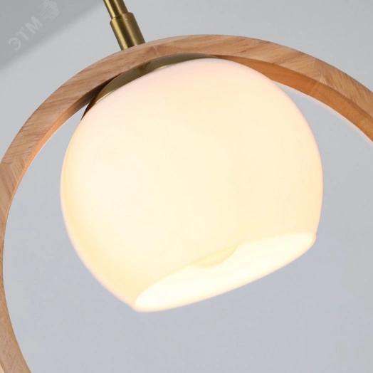 Светильник Подвесной Arte lamp CAPRICE A4182SP-1BR 1*E27 Металл Белый