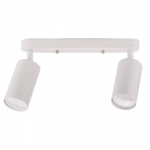 Светильник накладной, ARTON, поворотный, цилиндр, 260x55x160мм, 2хGU10, алюминий, белый, 59989 0, Ritter